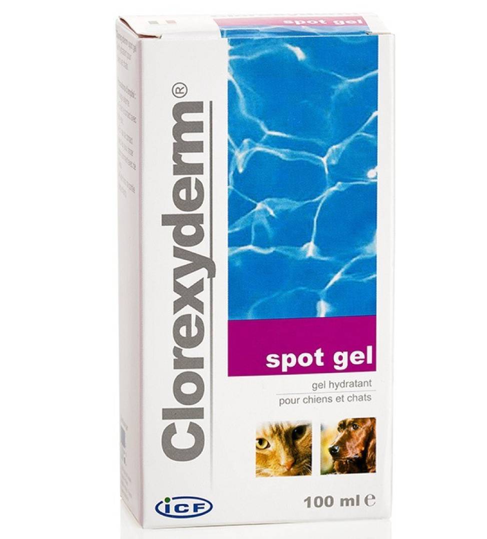 ICF Clorexyderm Spot Gel Per Cane E Gatto 100ml