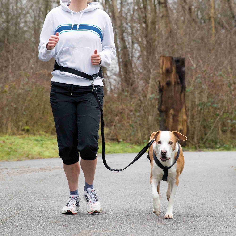 Trixie - Cintura in vita con guinzaglio per cani medi/grandi