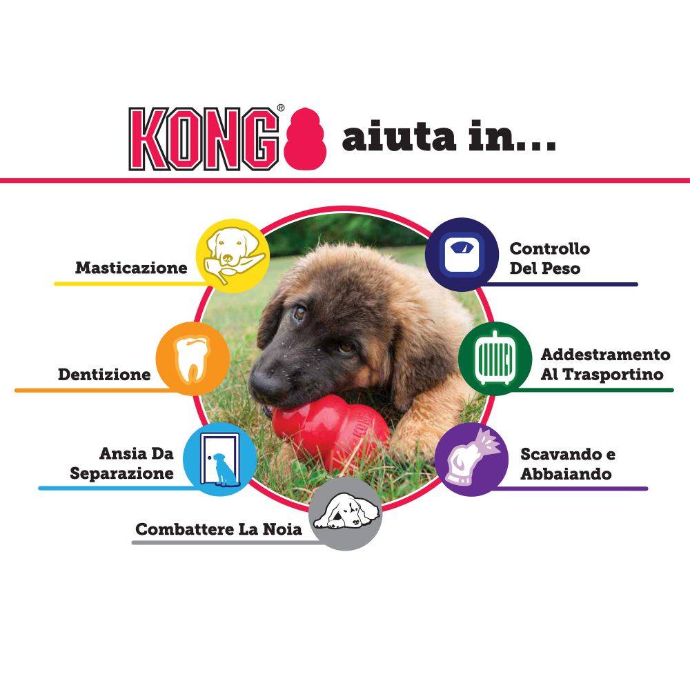 Kong - Classic - XL
