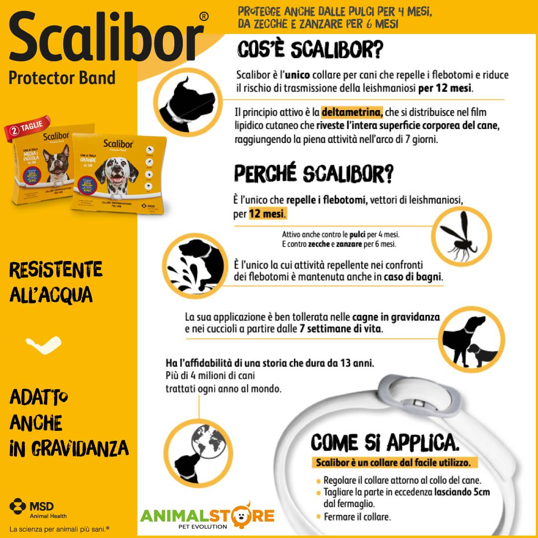 MSD - Scalibor - Cane piccolo/medio