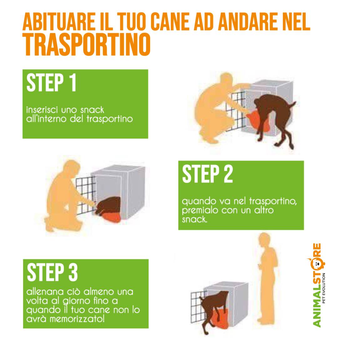 Imac - Trasporto Gatto 2
