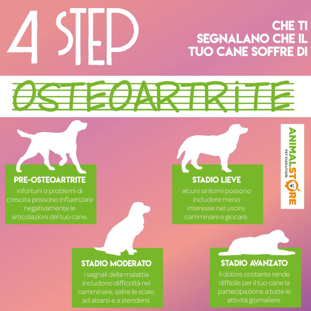 NBF - Artikrill cane - 200 perle