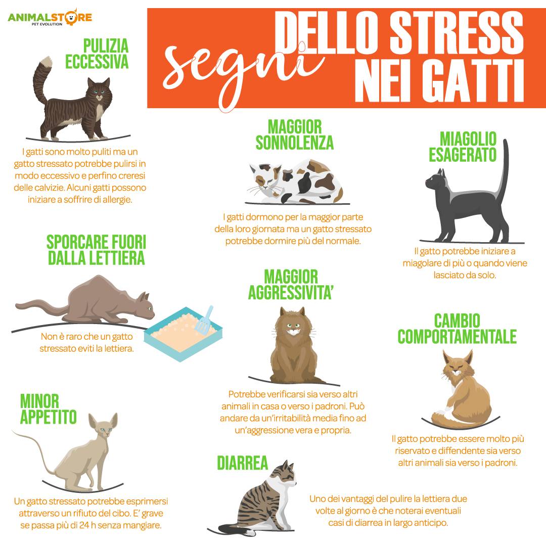 Royal Canin Calm Cat Veterinary per gatti