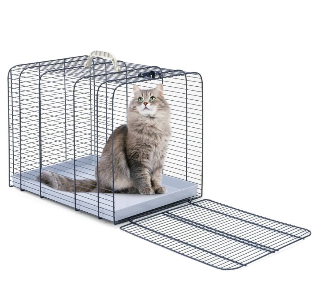 Imac - Trasporto Gatto 2