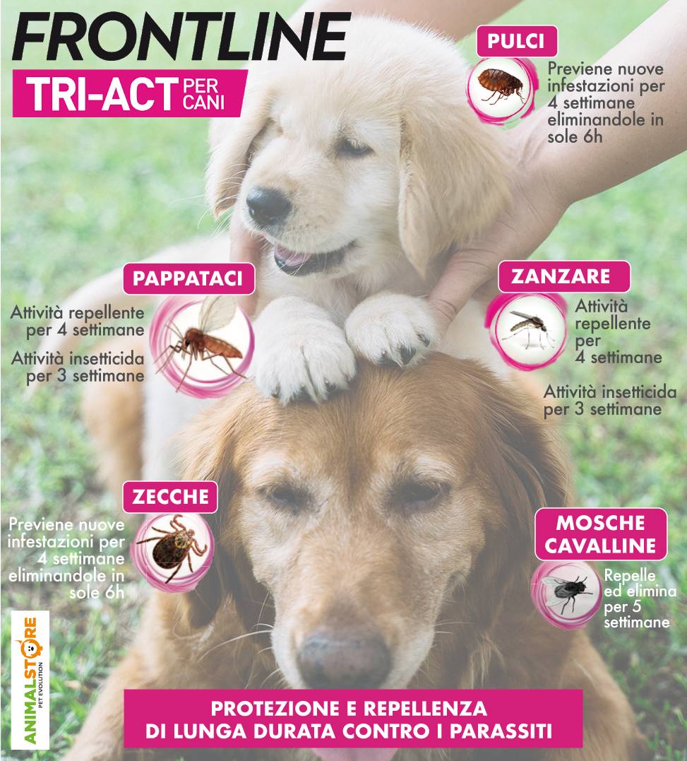 Frontline - TriAct - Da 10 a 20 kg - 3 pipette 