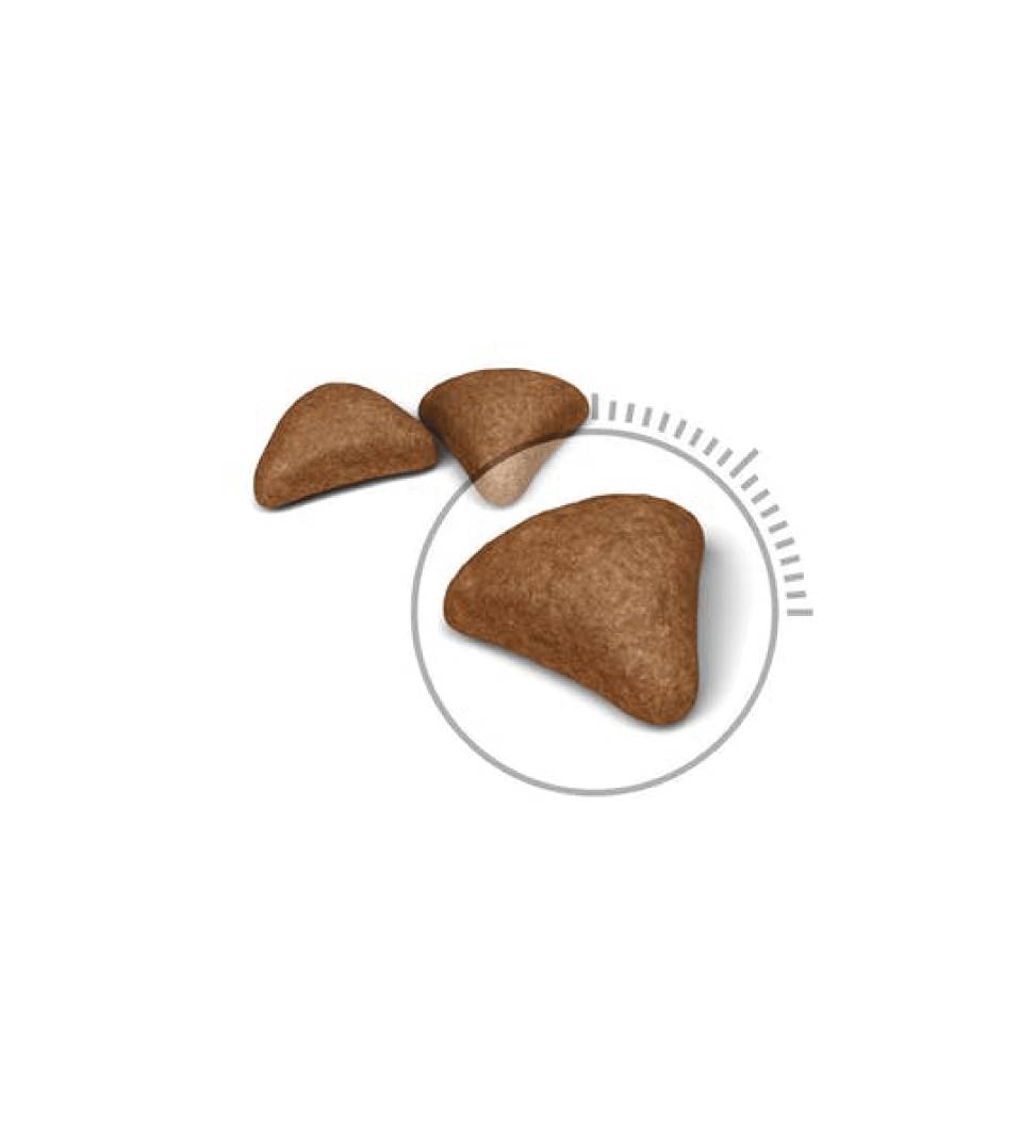 Royal Canin - Feline Care Nutrition - Hairball - 10kg