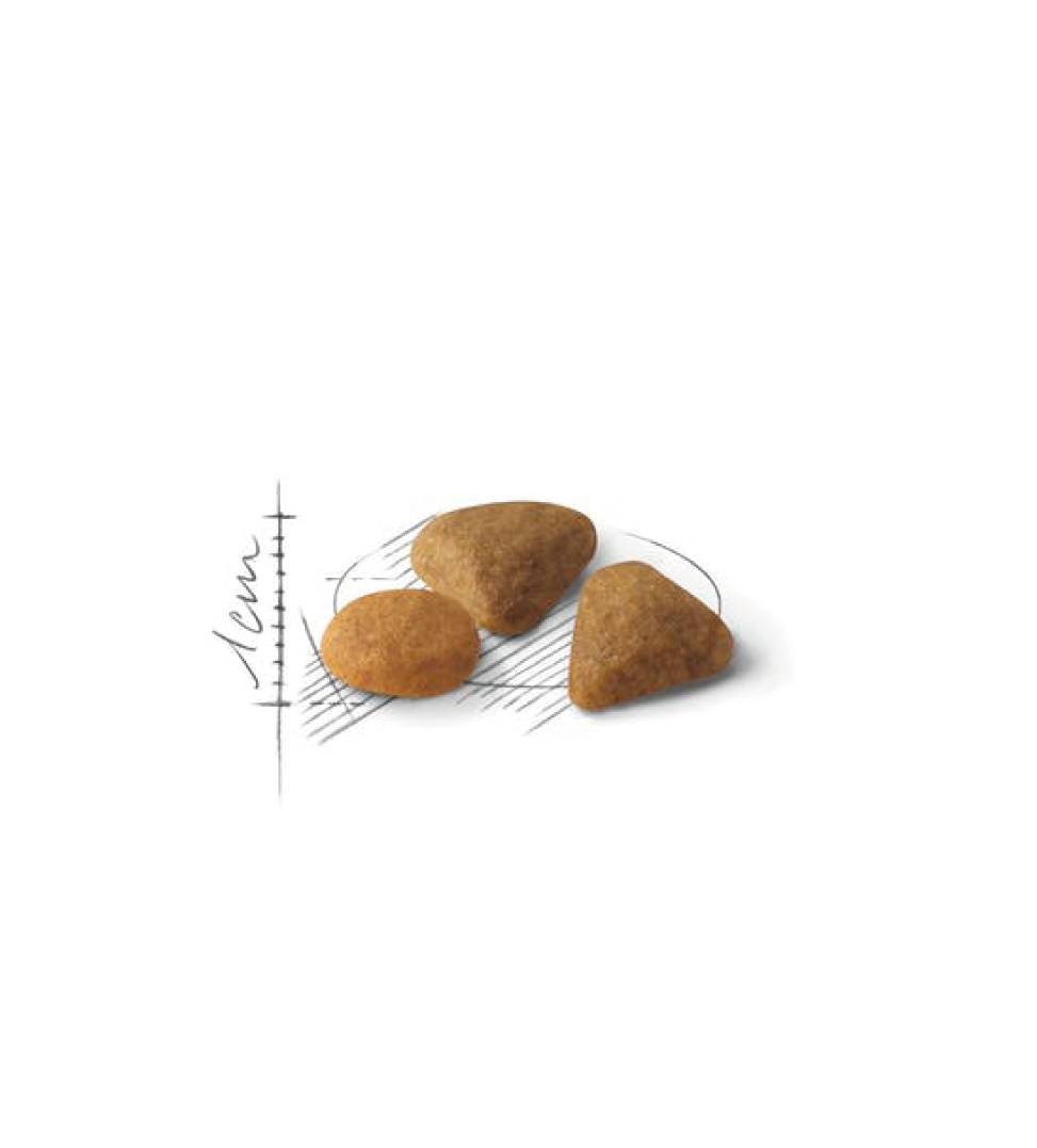 Royal Canin - Feline Health Nutrition - Savour Exigent - 2kg