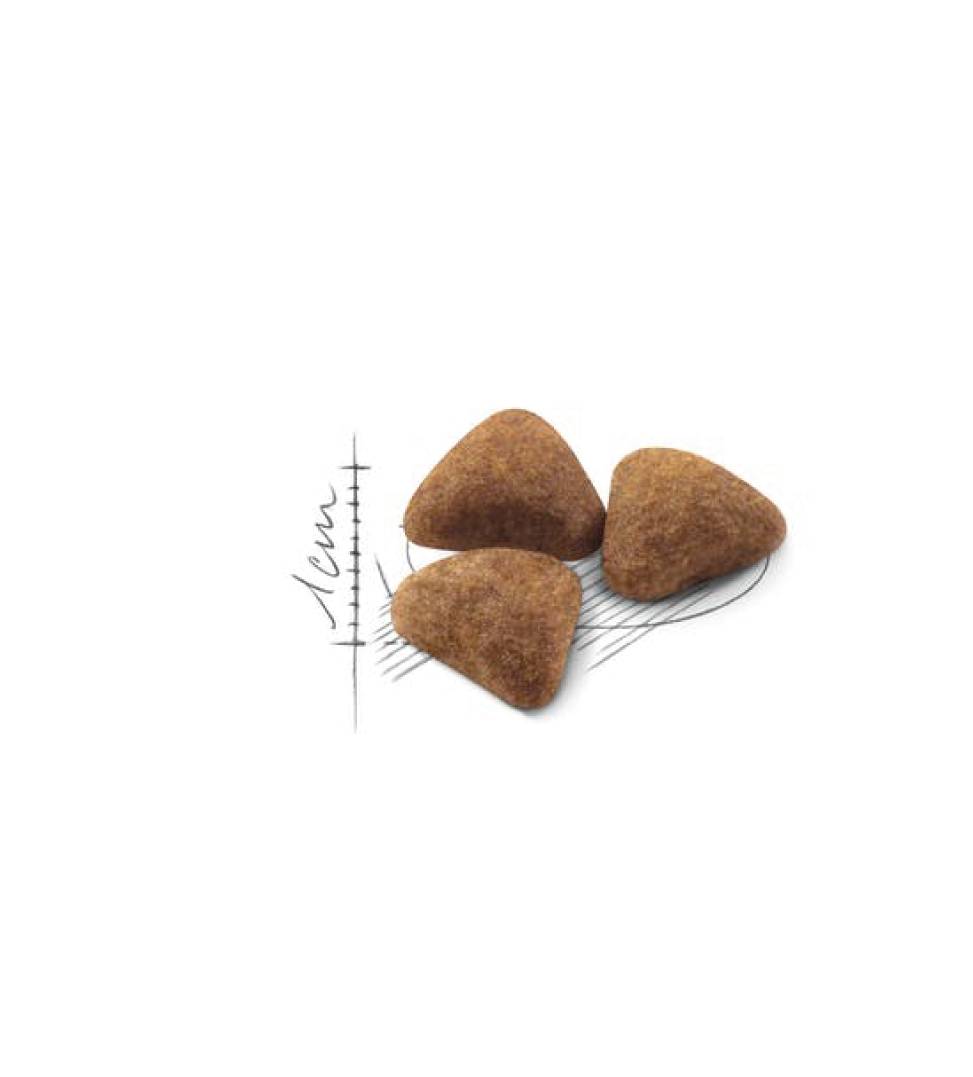 Royal Canin - Feline Health Nutrition - Indoor - 10 kg