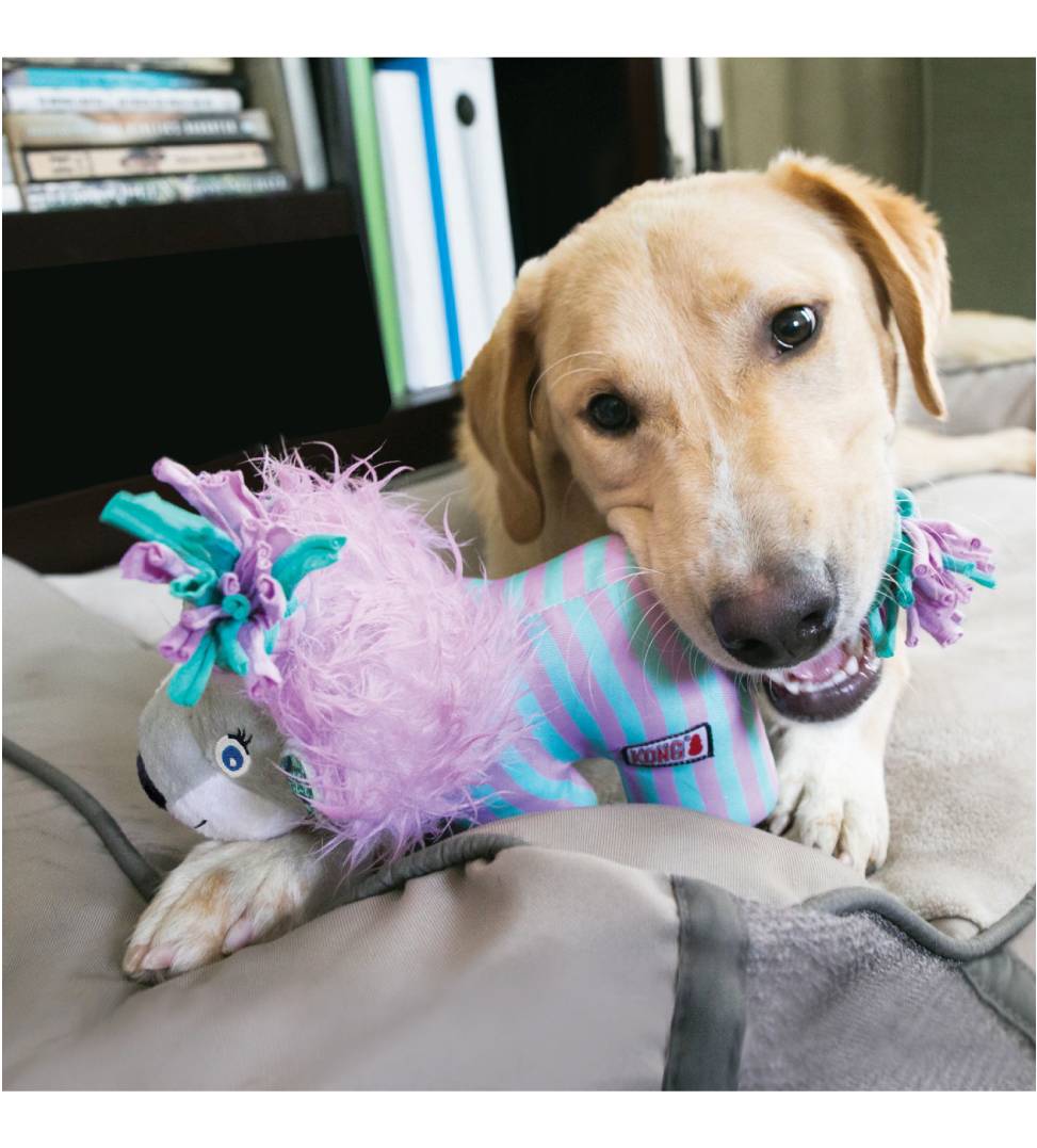 Kong - Knots Carnival - Elefante - S/M