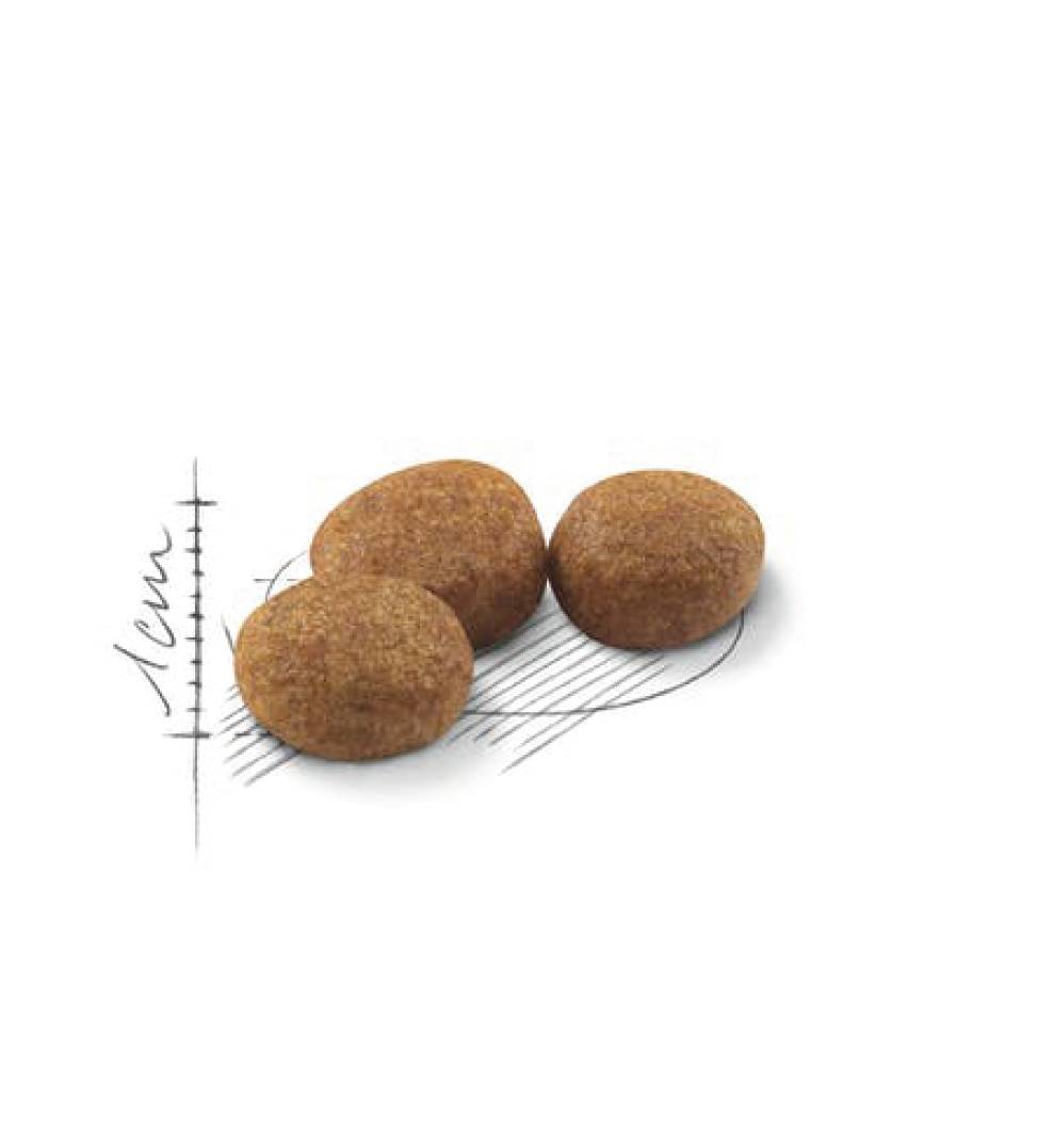 Royal Canin - Feline Health Nutrition - Sterilised - 4kg